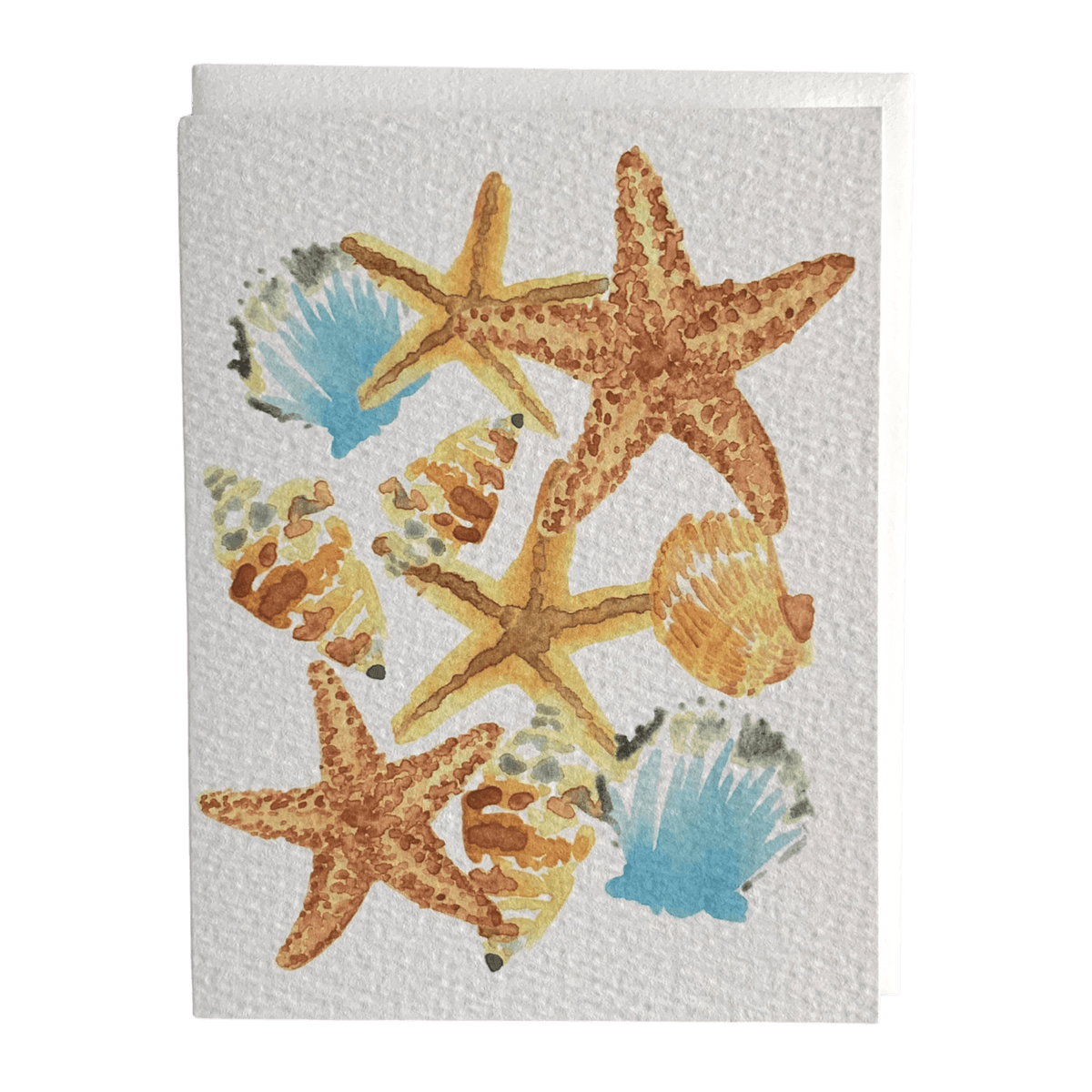 Seashells Everyday Card - Allie &amp; Elle
