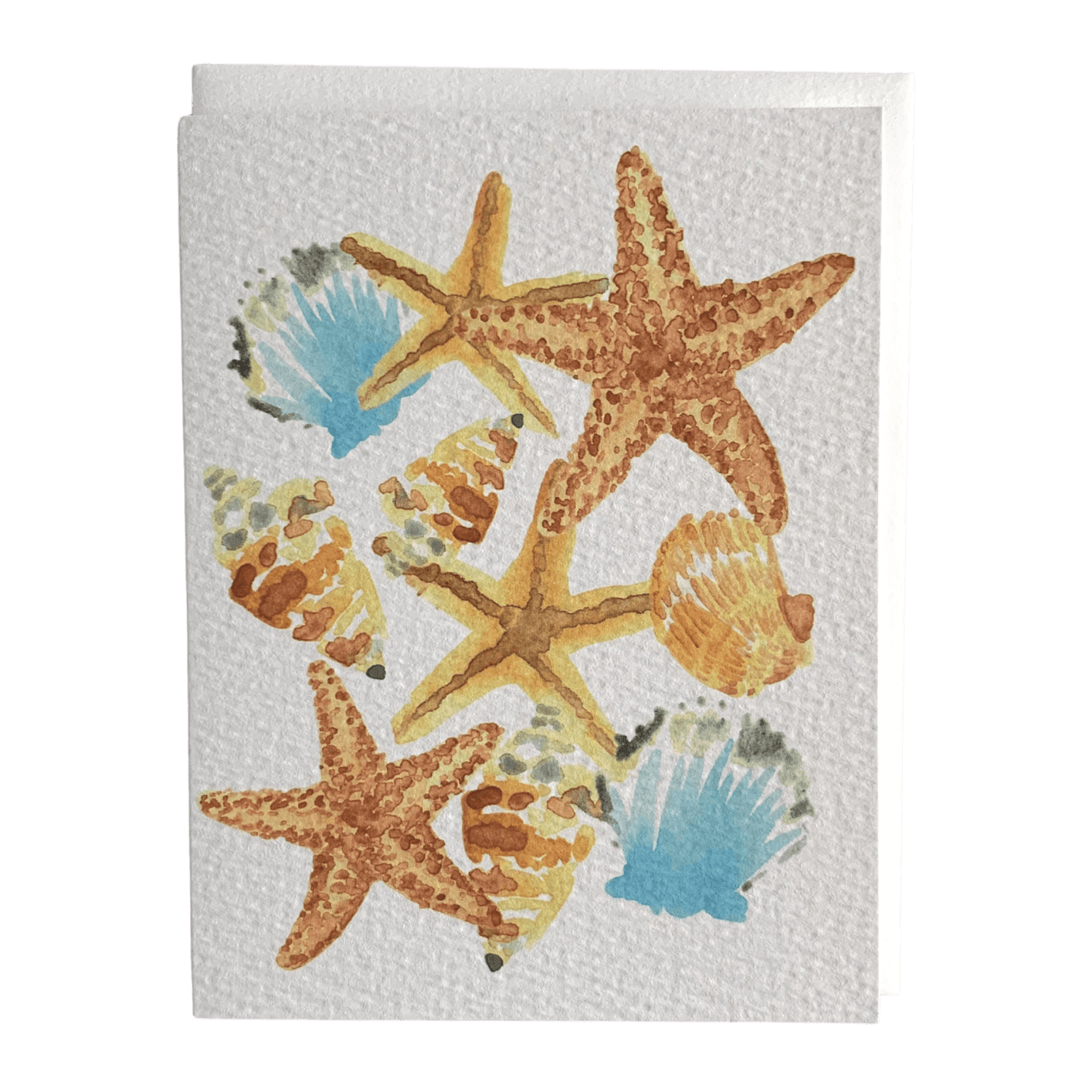 Seashells Everyday Card - Allie & Elle