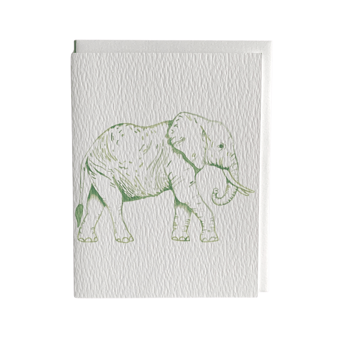 Watercolor Animals Cards/Stationery (Set of 5) - Allie &amp; Elle